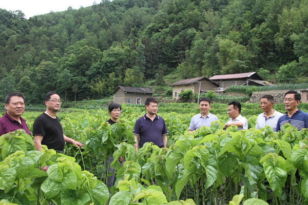 安康市商務(wù)局領(lǐng)導(dǎo)來我公司調(diào)研春蠶收購(gòu)及扶貧點(diǎn)蠶?；亟ㄔO(shè)情況